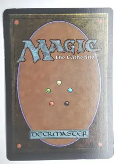 Web Revised Edition NM English 1994 MTG - Image 2