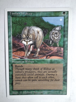 Timber Wolves Revised NM English 1994 Rare MTG - Image 1