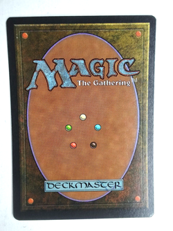 Timber Wolves Revised NM English 1994 Rare MTG - Image 2