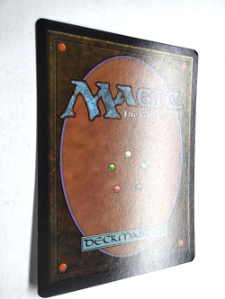 Timber Wolves Revised NM English 1994 Rare MTG - Image 4