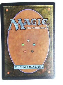 Living Lands Revised Edition NM English Rare 1994 MTG - Image 2