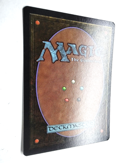 Living Lands Revised Edition NM English Rare 1994 MTG - Image 4