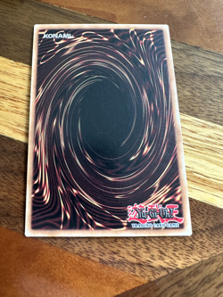 Roxrose Dragon LIOV-EN009 1st Edition Super Rare LP + BONUS - Image 2