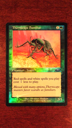 FOIL Thornscape Familiar - LP Lightly Played, Planeshift, English, MTG Magic - Image 1