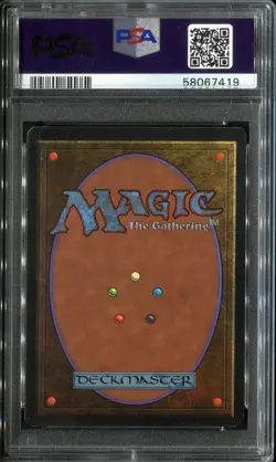 PSA 8 1993 MTG Magic The Gathering Beta #301 Forest v2 or A - Image 2