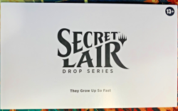 MTG Secret Lair: They Grow Up So Fast Dragonlords REGULAR (Non-Foil) - Sealed - Image 1