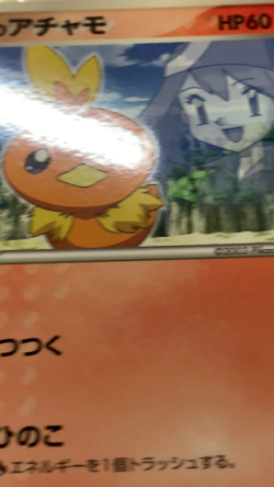 Pokemon May's Torchic Shogakukan Elementary Japanese Promo 037/ADV-P #2367 - Image 2