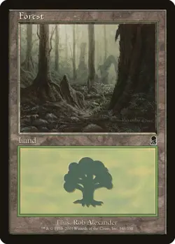 Forest (#348) - Foil Odyssey MP MTG - Image 1