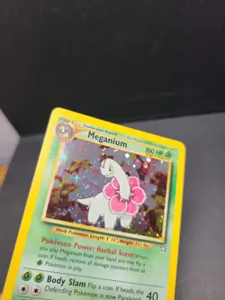 Meganium 10/111 Unlimited - Holo Rare Pokemon Card - Neo Genesis - LP - Image 3