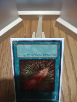 Yu-Gi-Oh Card A Feather of the Phoenix FET-EN037 1st Edition Ultimate Rare Item. - Image 5
