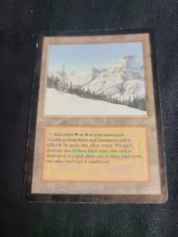 Taiga - Revised Edition - Dual Land - Vintage MTG - 1994 Colored Black Border - Image 1