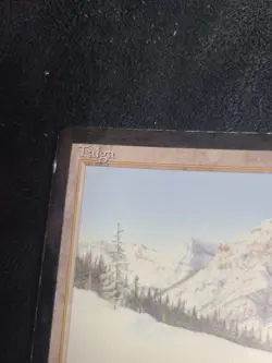 Taiga - Revised Edition - Dual Land - Vintage MTG - 1994 Colored Black Border - Image 2