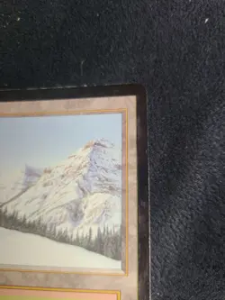 Taiga - Revised Edition - Dual Land - Vintage MTG - 1994 Colored Black Border - Image 3