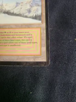 Taiga - Revised Edition - Dual Land - Vintage MTG - 1994 Colored Black Border - Image 4