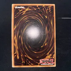 Dark Paladin DMG-001 Secret Rare Limited Edition Promo Yugioh LP - Image 2