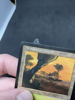 Windswept Heath Onslaught Regular MTG 328 MP - Image 3