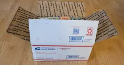 Pokemon Card Lot Bulk 18lb Commons 2020 - Present - 2500 + Cards TCG 🔥🔥🔥 - Image 2