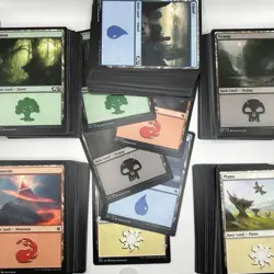 250 Magic the Gathering Basic Land Cards Lot - 50 of Each! - Image 1