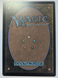 Soul Warden #1708 Non-Foil MTG Secret Lair Julie Bell English NM-Mint - Image 2