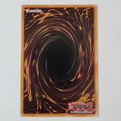 Amazoness Archer - LEDU-EN012 - Common - NM/VLP - 1st ed - Yugioh - Image 2