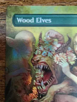 MTG FOIL ⭐Wood Elves Borderless ⭐NM/M Secret Lair Drop Series ⭐12 HQ PICS Magic - Image 4