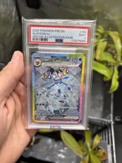 2025 POKEMON EN PRISMATIC EVOLUTIONS SPECIAL ILLUSTRATION RARE GLACEON EX PSA 9 - Image 1