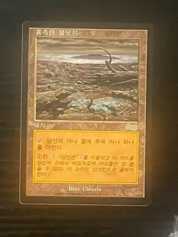 MTG MAGIC Foreign Black Border Japanese Blasted Landscape NM Free Returns! - Image 1