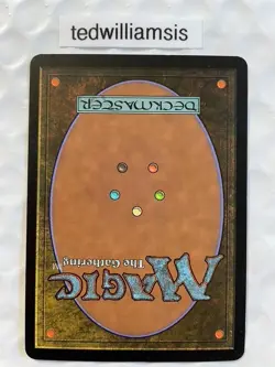 Privileged Position MtG Ravnica: City of Guilds Altered Art Extended Borderless - Image 2