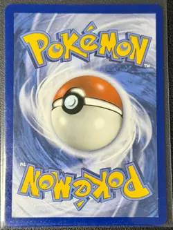 Pokemon TCG Miraidon SVP Black Star Promos SVP013 Holo Promo Promo - Image 2