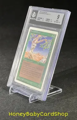 MTG Unlimited Edition 1993 Shanodin Dryads BGS 9.0Q+ (Quad+) MINT 93/94 - Image 3