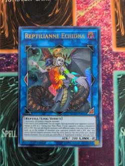 Yu-Gi-Oh! Reptilianne Echidna DUOV-EN016 Ultra Rare 1st Edition NM - Image 1