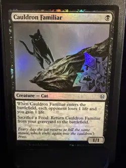 Cauldron Familiar #81 (Foil) (NM) Throne of Eldraine ELD Magic MTG - Image 1