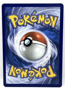 Shuckle - 136/132 Pokemon TCG Mega Evolution Illustration Rare Pokemon Card - Image 2
