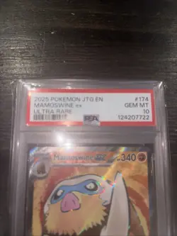 PSA 10 GEM Mint 2025 Pokemon Mamoswine ex 174/159 Journey Together Ultra Rare - Image 2