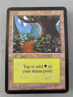 Forest (B) Limited Edition Alpha MTG-MP/LP-Vintage Magic the Gathering - Image 1