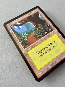 Forest (B) Limited Edition Alpha MTG-MP/LP-Vintage Magic the Gathering - Image 4