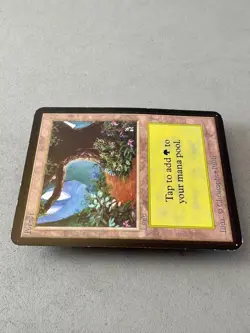 Forest (B) Limited Edition Alpha MTG-MP/LP-Vintage Magic the Gathering - Image 5