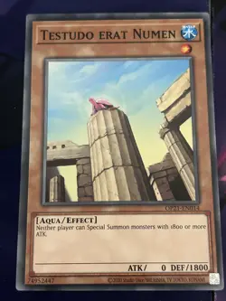 Yugioh | Common OTS 21 NM | Testudo erat Numen - OP21-EN014 - Image 1