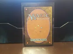 Gaddock Teeg #248 (LP) Lorwyn LRW Magic MTG - Image 4