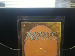 Gaddock Teeg #248 (LP) Lorwyn LRW Magic MTG - Image 5