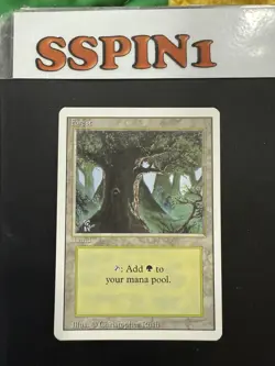 MTG Artist Proof Revised Land Forest Christopher Rush - Image 1