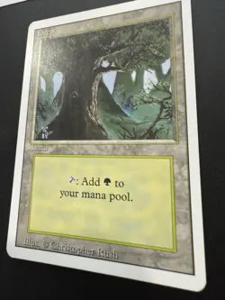 MTG Artist Proof Revised Land Forest Christopher Rush - Image 3