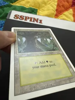 MTG Artist Proof Revised Land Forest Christopher Rush - Image 4