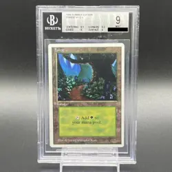 Magic The Gathering BGS9 Forest basic land summer 7649a63f72142d1da5abd32787677 - Image 1
