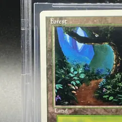 Magic The Gathering BGS9 Forest basic land summer 7649a63f72142d1da5abd32787677 - Image 3