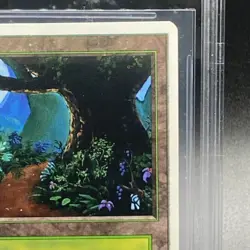 Magic The Gathering BGS9 Forest basic land summer 7649a63f72142d1da5abd32787677 - Image 4