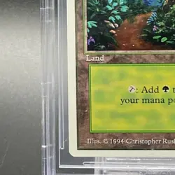 Magic The Gathering BGS9 Forest basic land summer 7649a63f72142d1da5abd32787677 - Image 5