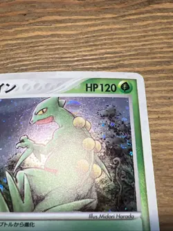 Sceptile 003/055 EX Ruby & Sapphire Pokemon Japanese 003/055 2003 SWIRL. MP - Image 4