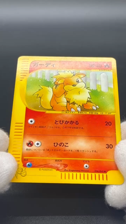 (LP+) Arcanine Growlithe Web 006/048 023/048 2 Set Pokemon Card Japanese - Image 2