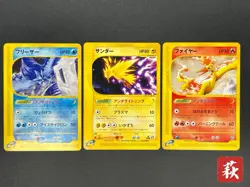Exclusive Listing Pokemon Card Japanese #2509100018 - Image 1